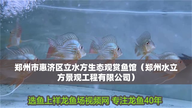 鄭州市惠濟區立水方生態觀賞魚館（鄭州水立方景觀工程有限公司）