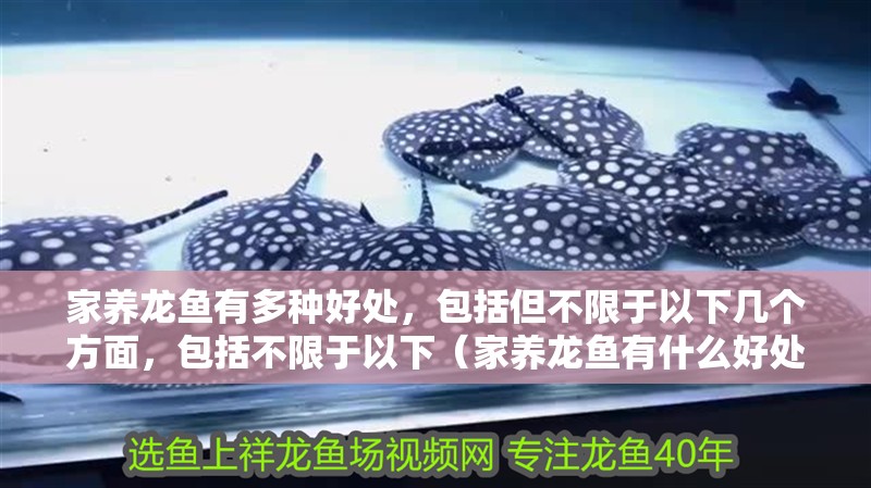 家養龍魚有多種好處，包括但不限于以下幾個方面，包括不限于以下（家養龍魚有什么好處？）