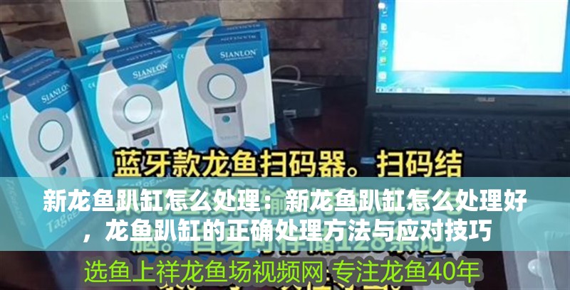 新龍魚趴缸怎么處理：新龍魚趴缸怎么處理好，龍魚趴缸的正確處理方法與應(yīng)對(duì)技巧