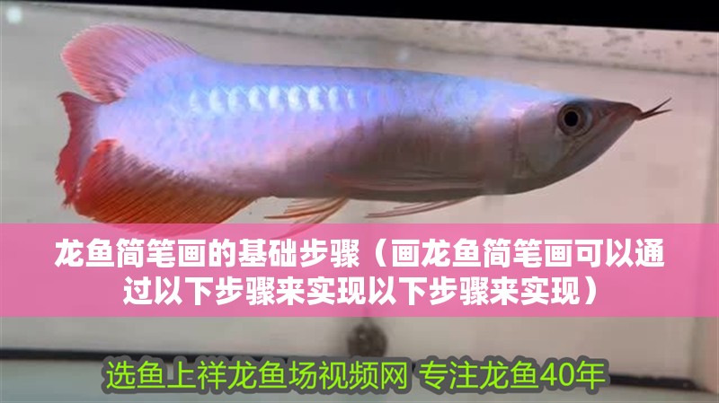 龍魚簡筆畫的基礎步驟（畫龍魚簡筆畫可以通過以下步驟來實現以下步驟來實現）