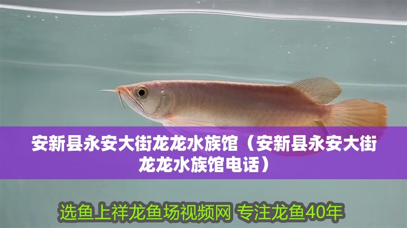 安新縣永安大街龍龍水族館（安新縣永安大街龍龍水族館電話）
