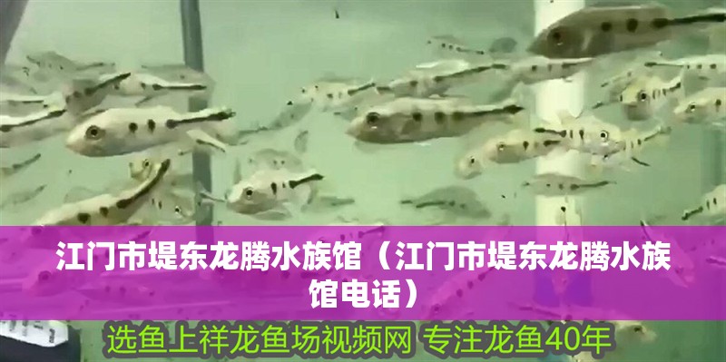 江門市堤東龍騰水族館（江門市堤東龍騰水族館電話）