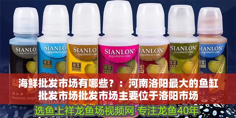 海鮮批發(fā)市場有哪些？：河南洛陽最大的魚缸批發(fā)市場批發(fā)市場主要位于洛陽市場