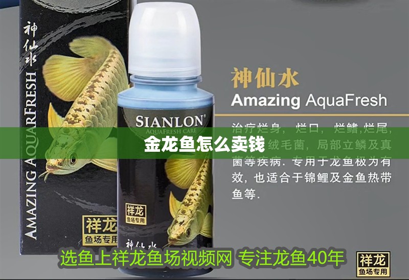 金龍魚怎么賣錢