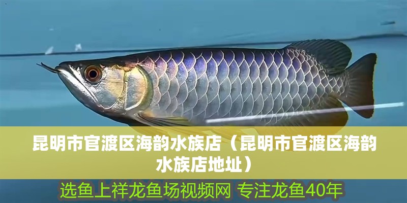 昆明市官渡區海韻水族店（昆明市官渡區海韻水族店地址）
