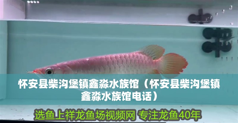 懷安縣柴溝堡鎮(zhèn)鑫淼水族館（懷安縣柴溝堡鎮(zhèn)鑫淼水族館電話）