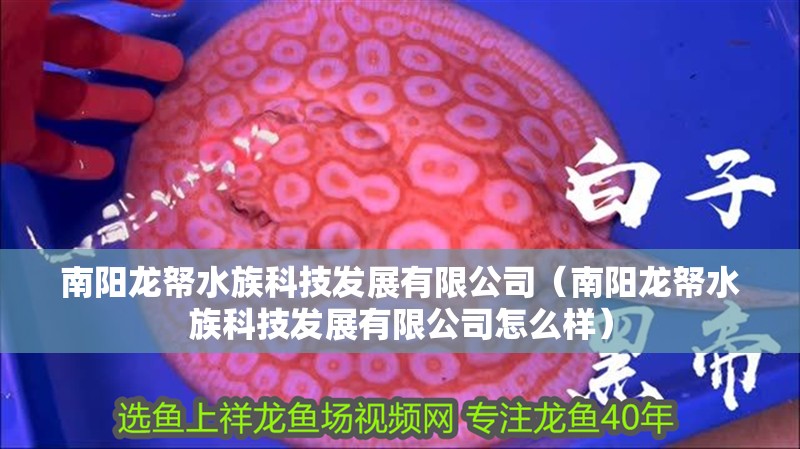 南陽龍帑水族科技發展有限公司（南陽龍帑水族科技發展有限公司怎么樣）