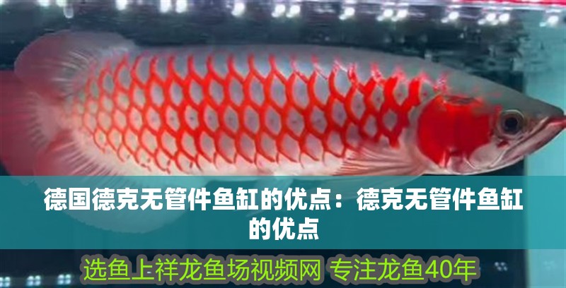 德國德克無管件魚缸的優點：德克無管件魚缸的優點