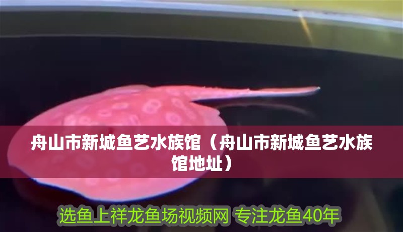 舟山市新城魚藝水族館（舟山市新城魚藝水族館地址） 舟山市新城魚藝水族館（舟山市新城魚藝水族館地址） 全國水族館企業名錄 第2張