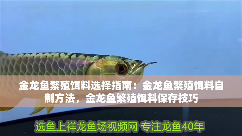 金龍魚繁殖餌料選擇指南：金龍魚繁殖餌料自制方法，金龍魚繁殖餌料保存技巧
