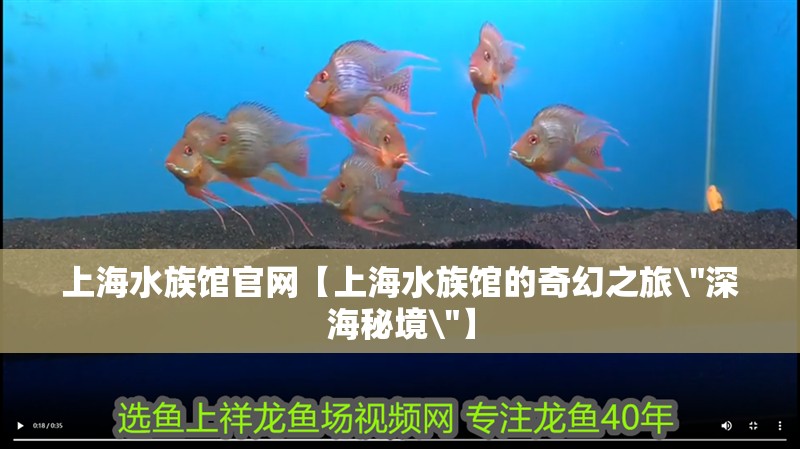 上海水族館官網(wǎng)【上海水族館的奇幻之旅\