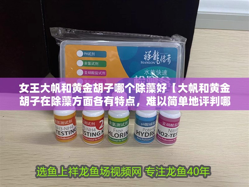 女王大帆和黃金胡子哪個除藻好【大帆和黃金胡子在除藻方面各有特點，難以簡單地評判哪個更好】