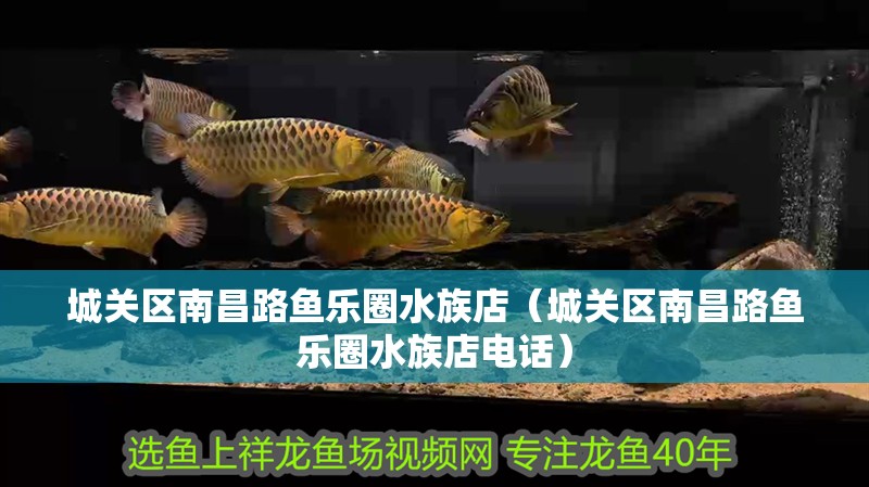 城關區南昌路魚樂圈水族店（城關區南昌路魚樂圈水族店電話）