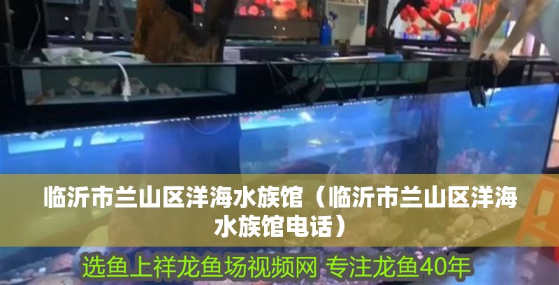 臨沂市蘭山區洋海水族館（臨沂市蘭山區洋海水族館電話）