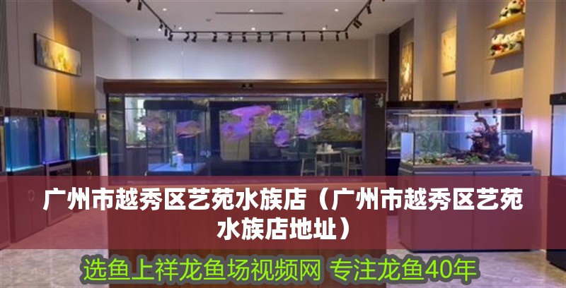 廣州市越秀區藝苑水族店（廣州市越秀區藝苑水族店地址） 廣州市越秀區藝苑水族店（廣州市越秀區藝苑水族店地址） 全國水族館企業名錄 第2張