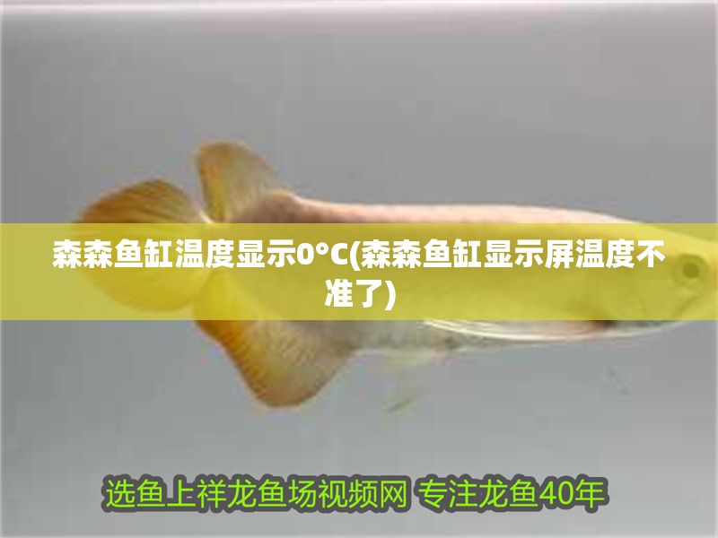 森森魚缸溫度顯示0°C(森森魚缸顯示屏溫度不準了)