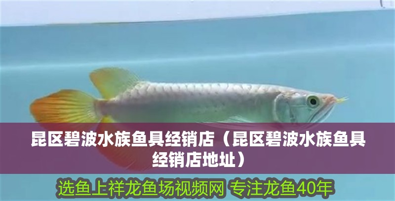 昆區碧波水族魚具經銷店（昆區碧波水族魚具經銷店地址）