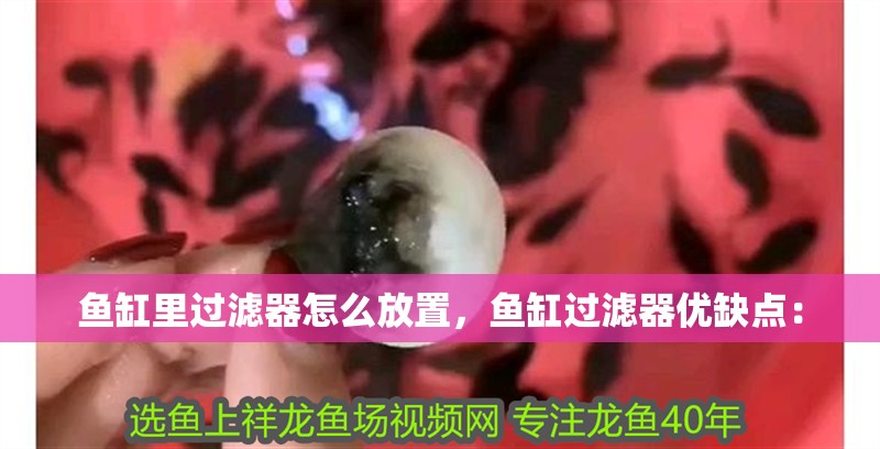 魚缸里過濾器怎么放置，魚缸過濾器優缺點：