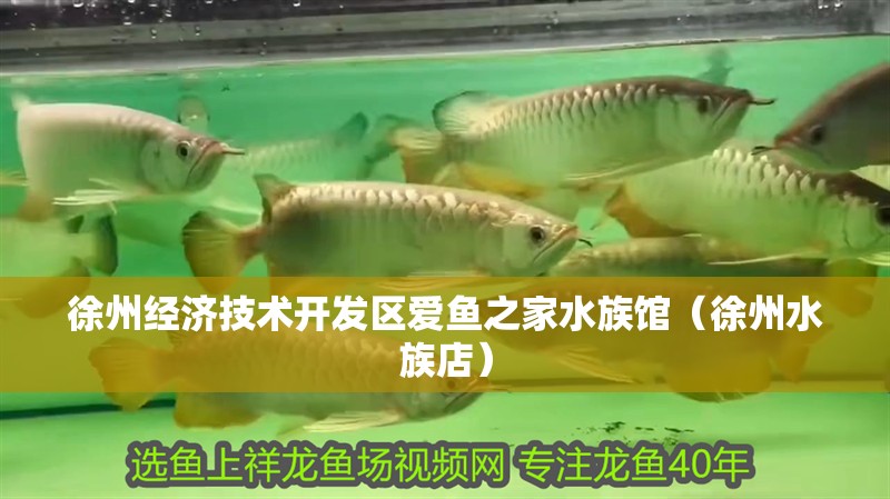 徐州經濟技術開發區愛魚之家水族館（徐州水族店） 徐州經濟技術開發區愛魚之家水族館（徐州水族店） 全國水族館企業名錄 第2張