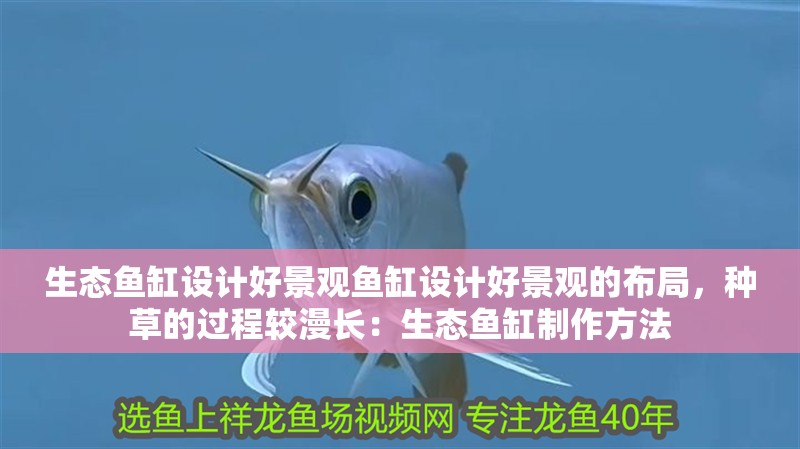生態(tài)魚(yú)缸設(shè)計(jì)好景觀魚(yú)缸設(shè)計(jì)好景觀的布局，種草的過(guò)程較漫長(zhǎng)：生態(tài)魚(yú)缸制作方法