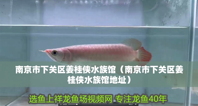 南京市下關區姜桂俠水族館（南京市下關區姜桂俠水族館地址）