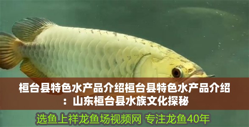 桓臺縣特色水產品介紹桓臺縣特色水產品介紹：山東桓臺縣水族文化探秘