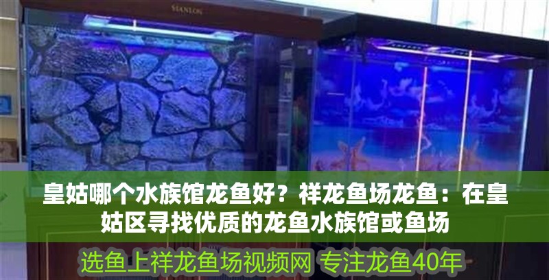 皇姑哪個水族館龍魚好？祥龍魚場龍魚：在皇姑區尋找優質的龍魚水族館或魚場