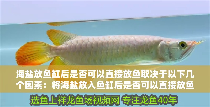 海鹽放魚缸后是否可以直接放魚取決于以下幾個因素：將海鹽放入魚缸后是否可以直接放魚取決于以下幾個因素