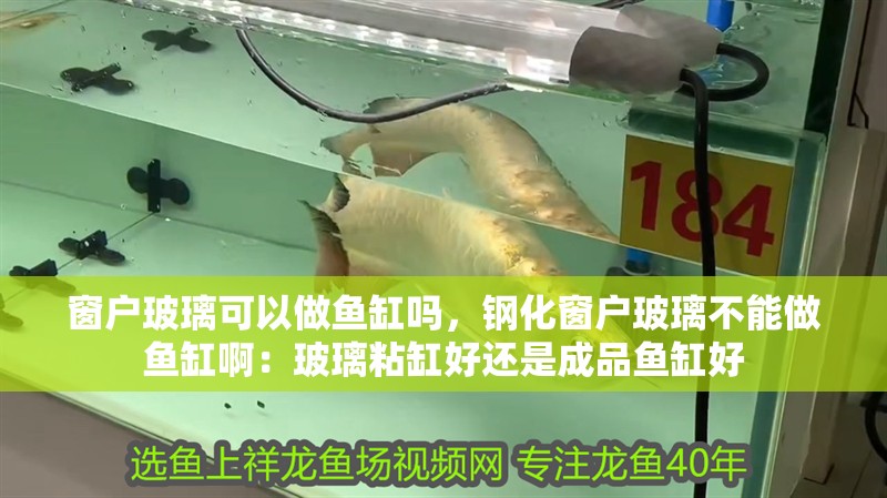窗戶玻璃可以做魚缸嗎，鋼化窗戶玻璃不能做魚缸啊：玻璃粘缸好還是成品魚缸好