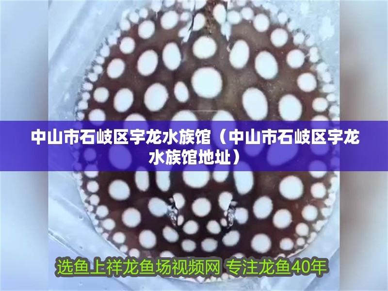 中山市石岐區宇龍水族館（中山市石岐區宇龍水族館地址）