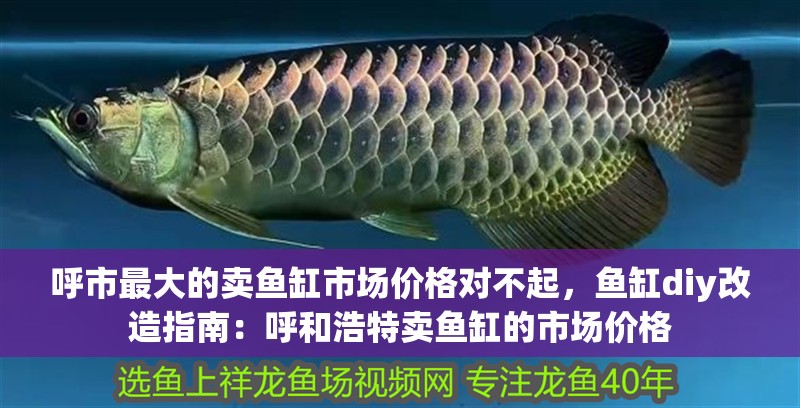 <strong><mark>呼市</mark></strong>最大的賣魚缸市場價(jià)格對(duì)不起，魚缸diy改造指南：呼和浩特賣魚缸的市場價(jià)格
