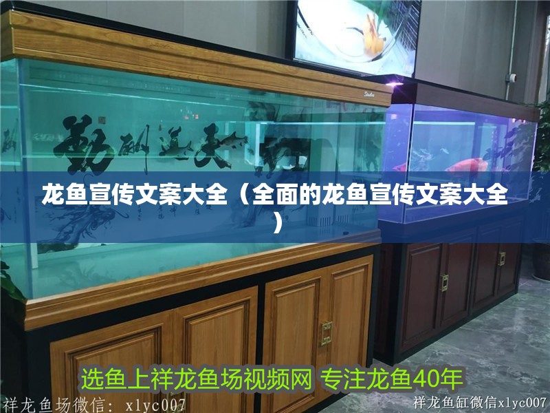 龍魚宣傳文案大全（全面的龍魚宣傳文案大全）