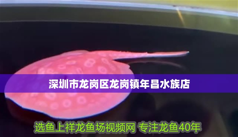 深圳市龍崗區(qū)龍崗鎮(zhèn)年昌水族店