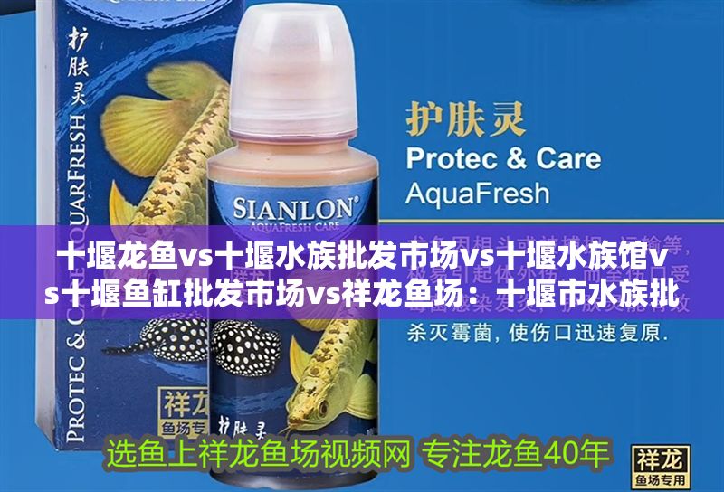 十堰龍魚vs十堰水族批發市場vs十堰水族館vs十堰魚缸批發市場vs祥龍魚場：十堰市水族批發市場