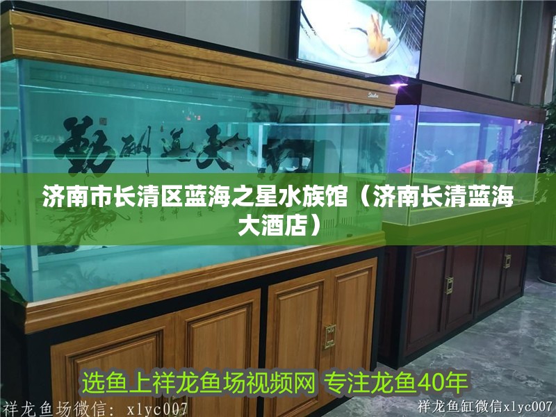 濟南市長清區藍海之星水族館（濟南長清藍海大酒店）