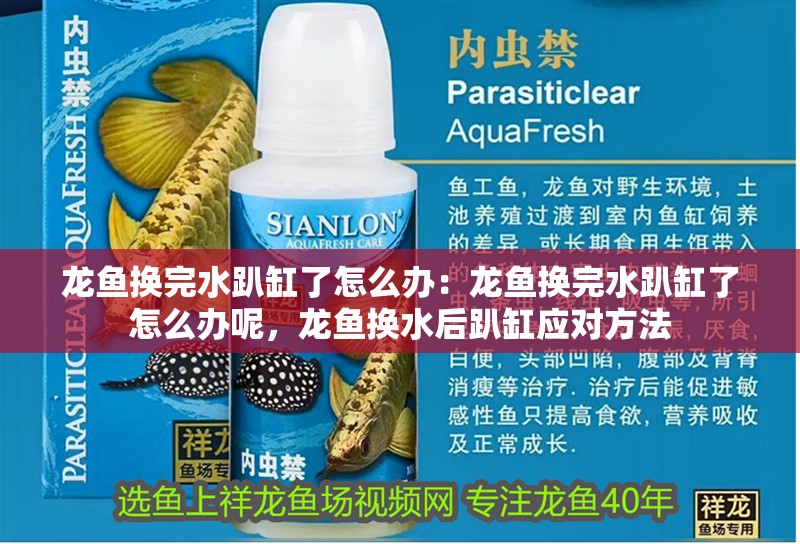 龍魚換完水趴缸了怎么辦：龍魚換完水趴缸了怎么辦呢，龍魚換水后趴缸應對方法