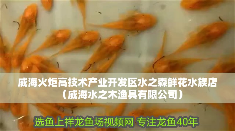 威海火炬高技術產業開發區水之森鮮花水族店(威海水之木漁具有限公司) 全國水族館企業名錄 第2張 威海火炬高技術產業開發區水之森鮮花水族店(威海水之木漁具有限公司) 威海火炬高技術產業開發區水之森鮮花水族店(威海水之木漁具有限公司) 全國水族館企業名錄 第2張