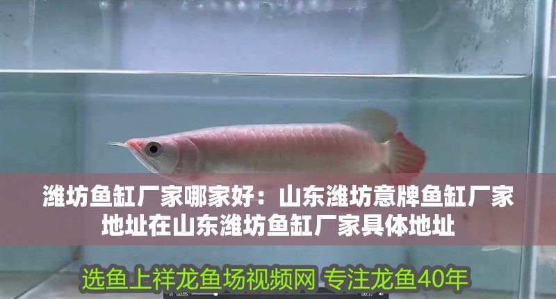 濰坊魚缸廠家哪家好：山東濰坊意牌魚缸廠家地址在山東濰坊魚缸廠家具體地址