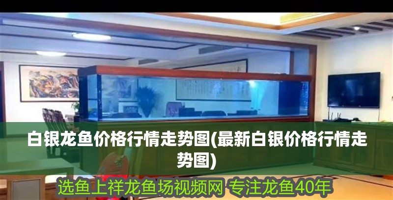白銀龍魚價格行情走勢圖(最新白銀價格行情走勢圖)
