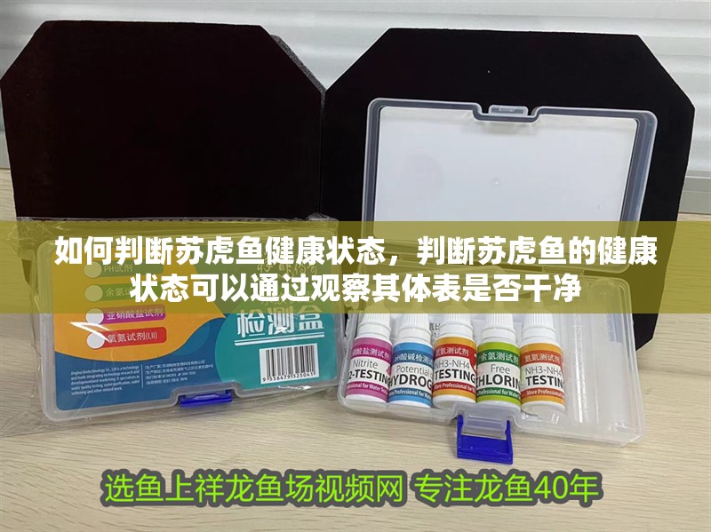 如何判斷蘇虎魚(yú)健康狀態(tài)，判斷蘇虎魚(yú)的健康狀態(tài)可以通過(guò)觀察其體表是否干凈
