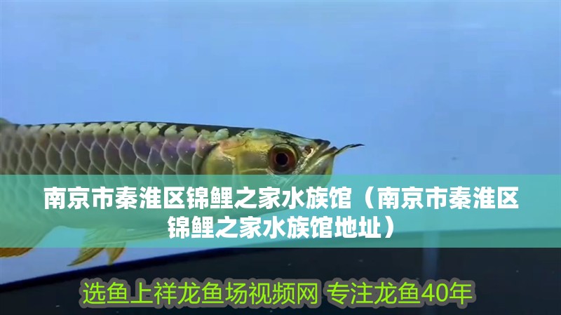 南京市秦淮區(qū)錦鯉之家水族館（南京市秦淮區(qū)錦鯉之家水族館地址） 南京市秦淮區(qū)錦鯉之家水族館（南京市秦淮區(qū)錦鯉之家水族館地址） 全國水族館企業(yè)名錄 第2張