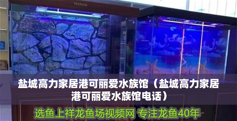 鹽城高力家居港可麗愛水族館（鹽城高力家居港可麗愛水族館電話）