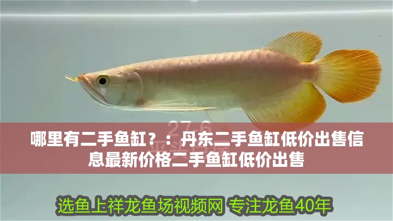 哪里有二手魚缸？：丹東二手魚缸低價出售信息最新價格二手魚缸低價出售