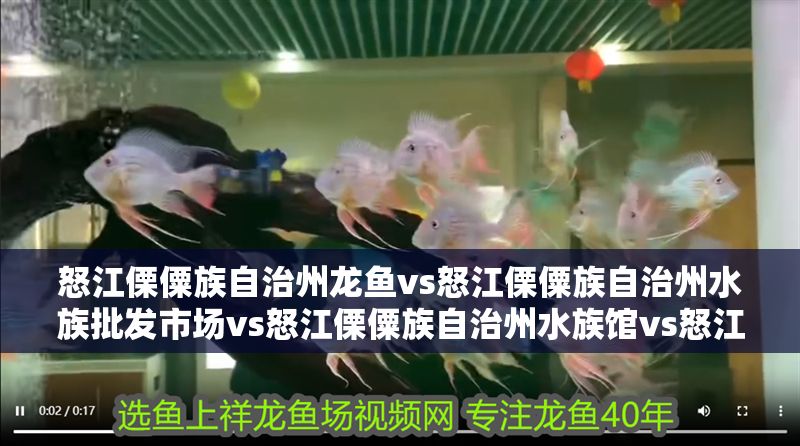 怒江傈僳族自治州龍魚vs怒江傈僳族自治州水族批發(fā)市場vs怒江傈僳族自治州水族館vs怒江傈僳族自治州魚缸批發(fā)市場vs祥龍魚場：關(guān)于怒江傈僳族自治州的一些具體信息