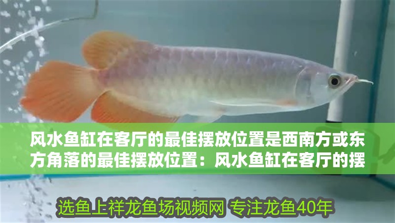 風水魚缸在客廳的最佳擺放位置是西南方或東方角落的最佳擺放位置：風水魚缸在客廳的擺放位置