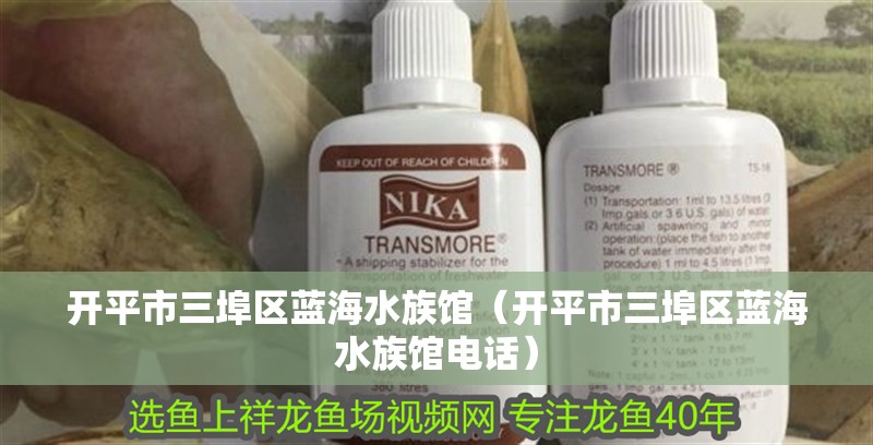 開平市三埠區(qū)藍(lán)海水族館（開平市三埠區(qū)藍(lán)海水族館電話） 開平市三埠區(qū)藍(lán)海水族館（開平市三埠區(qū)藍(lán)海水族館電話） 全國水族館企業(yè)名錄 第2張