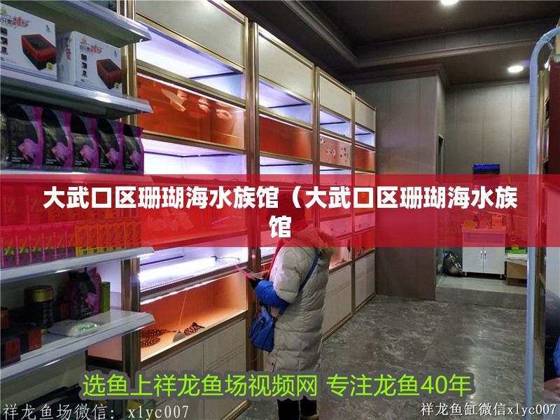 大武口區珊瑚海水族館（大武口區珊瑚海水族館 大武口區珊瑚海水族館（大武口區珊瑚海水族館 全國水族館企業名錄 第2張