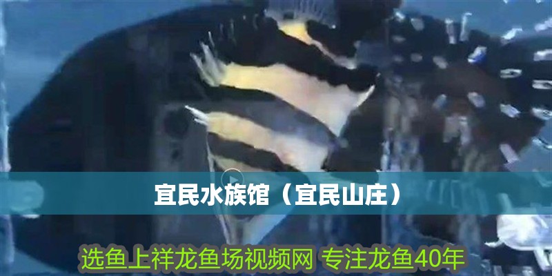 宜民水族館（宜民山莊） 宜民水族館（宜民山莊） 全國水族館企業名錄 第2張