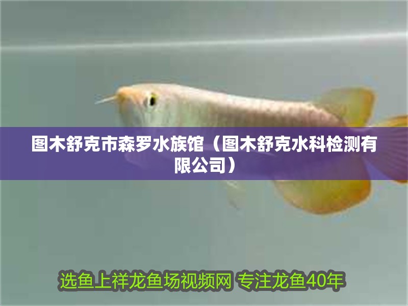 圖木舒克市森羅水族館(圖木舒克水科檢測有限公司) 全國水族館企業名錄 第2張 圖木舒克市森羅水族館(圖木舒克水科檢測有限公司) 圖木舒克市森羅水族館(圖木舒克水科檢測有限公司) 全國水族館企業名錄 第2張