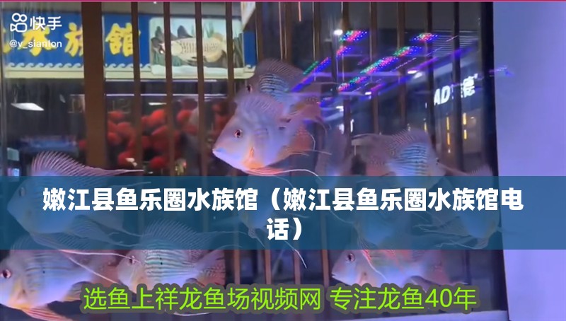 嫩江縣魚樂圈水族館（嫩江縣魚樂圈水族館電話）